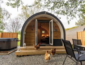 The Fox Pod